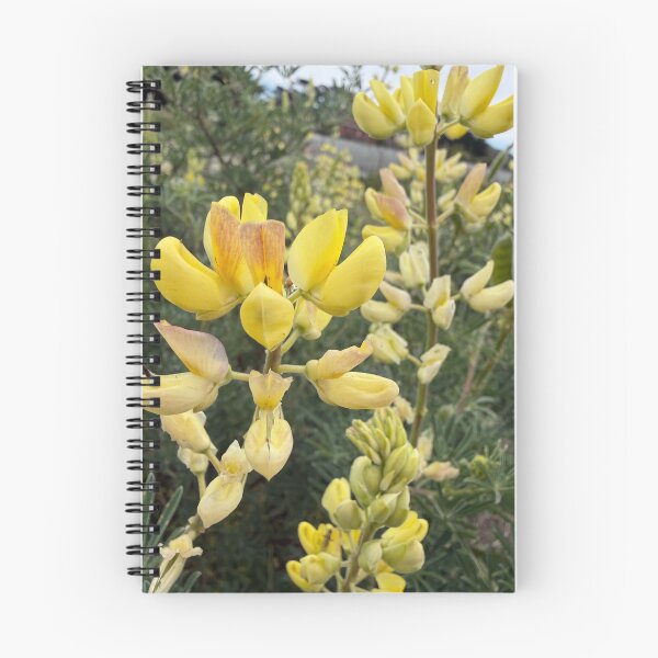 Item preview, Golden Lupin Joy designed and sold by Betsy Phillips.