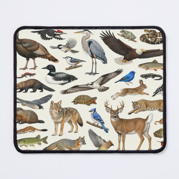 Item preview, Animals of the Pocono Mountains Retro Identification Chart designed and sold by kakarikihill.