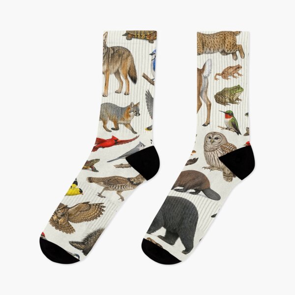Item preview, Animals of the Pocono Mountains Retro Identification Chart designed and sold by kakarikihill.