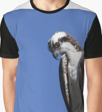 Osprey Pandion haliaetus Graphic T-Shirt