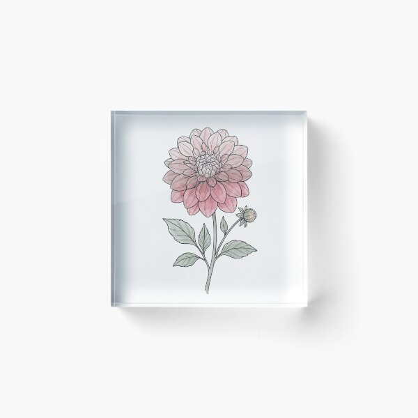 Item preview, Minimal Dahlia Flower Illustration | Botanical Floral Art designed and sold by Softbear Atelier.