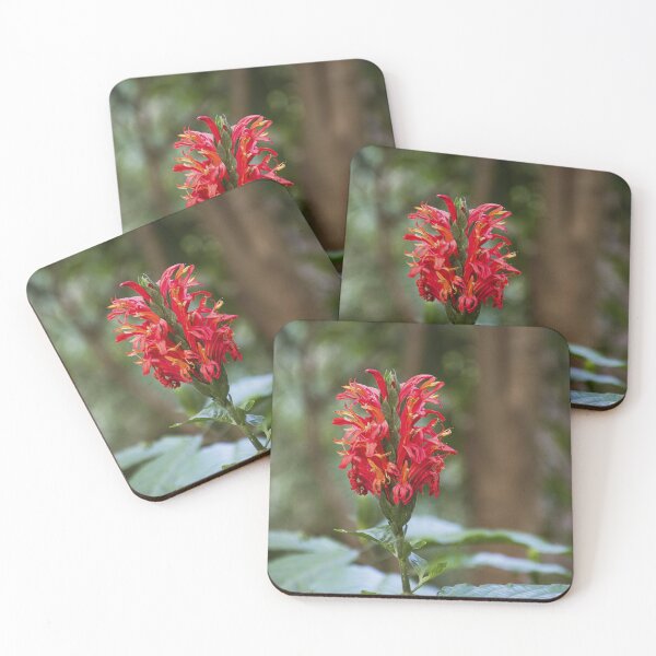 Item preview, Vibrant Red Tropical Flower Closeup - Botanical Nature Photography designed and sold by AuraInkSC.