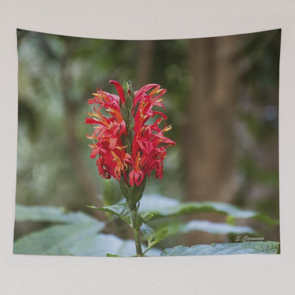 Item preview, Vibrant Red Tropical Flower Closeup - Botanical Nature Photography designed and sold by AuraInkSC.