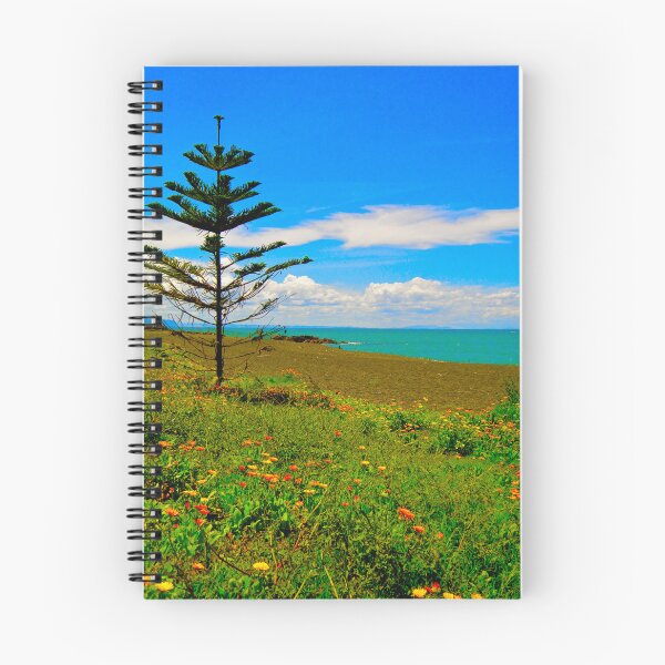 Item preview, Napier, New Zealand designed and sold by Anthony Macaluso.