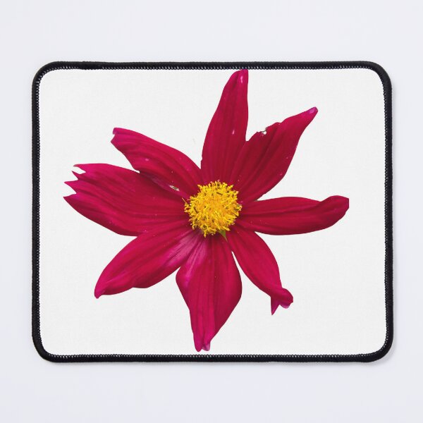Item preview, Crimson Cosmos Wildflower Botanical Design designed and sold by Feral Vibes.