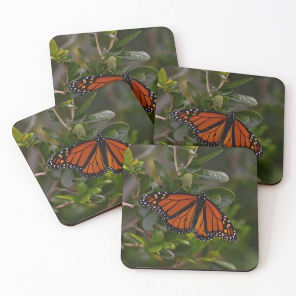 Item preview, Monarch Butterfly designed and sold by emilyxneill.