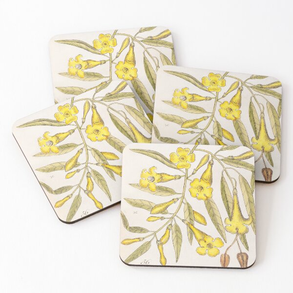 Item preview, 18th Century Botanical Carolina Jasmine by Mark Catesby designed and sold by mockingbirdmuse.
