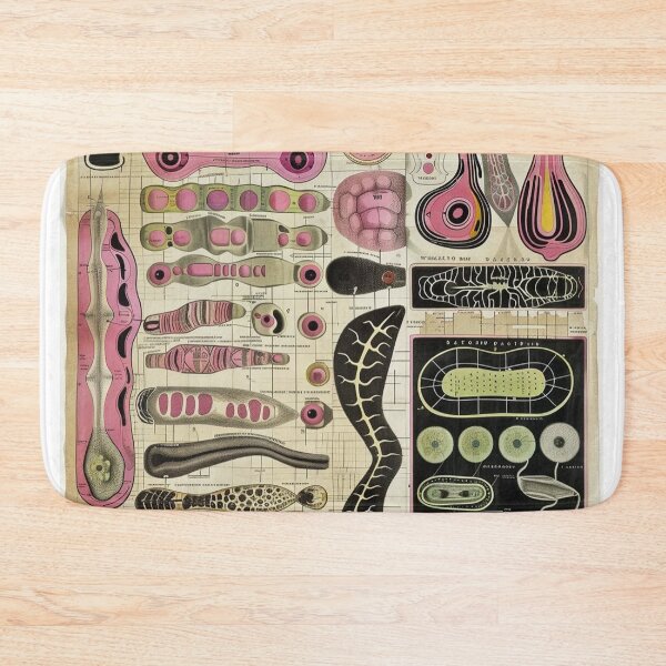 Item preview, Mystic Jaguar Cars Land Rover eCrows Circle Above designed and sold by Mandy M 	 Weisz.