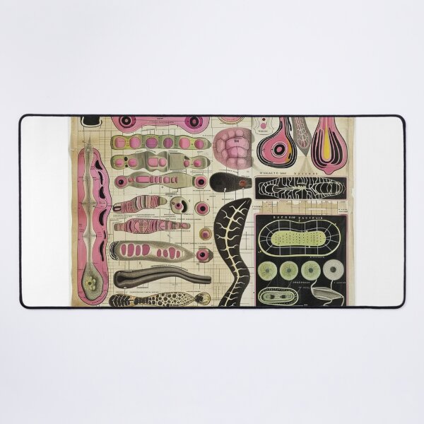 Item preview, Mystic Jaguar Cars Land Rover eCrows Circle Above designed and sold by Mandy M Weisz.