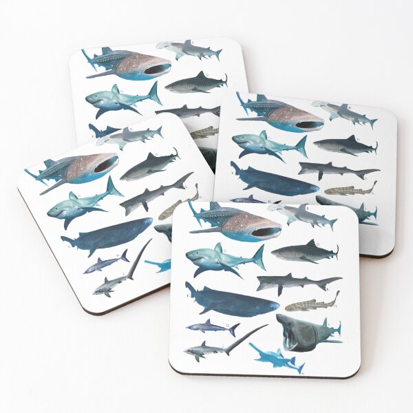 Item preview, Illustrative Shark Scientific Poster designed and sold by Shannon Thorpe.