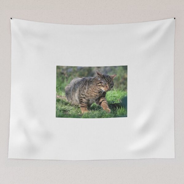 Item preview, Scottish Wildcat Prowling designed and sold by Neil MacNeill.