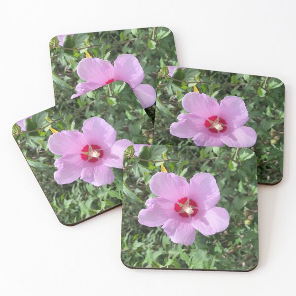Item preview, Pink Hibiscus  designed and sold by Amanda1775.