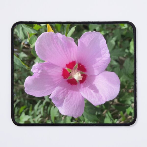 Item preview, Pink Hibiscus designed and sold by Amanda1775.