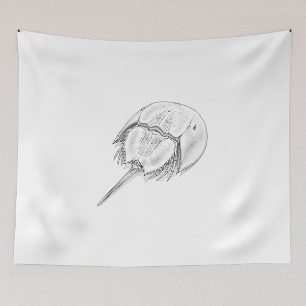 Item preview, Horseshoe Crab Drawing designed and sold by goombi-creative.