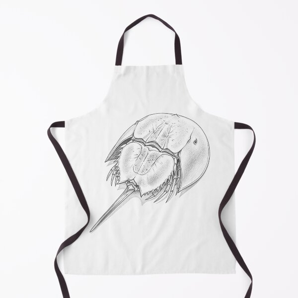 Item preview, Horseshoe Crab Drawing designed and sold by goombi-creative.