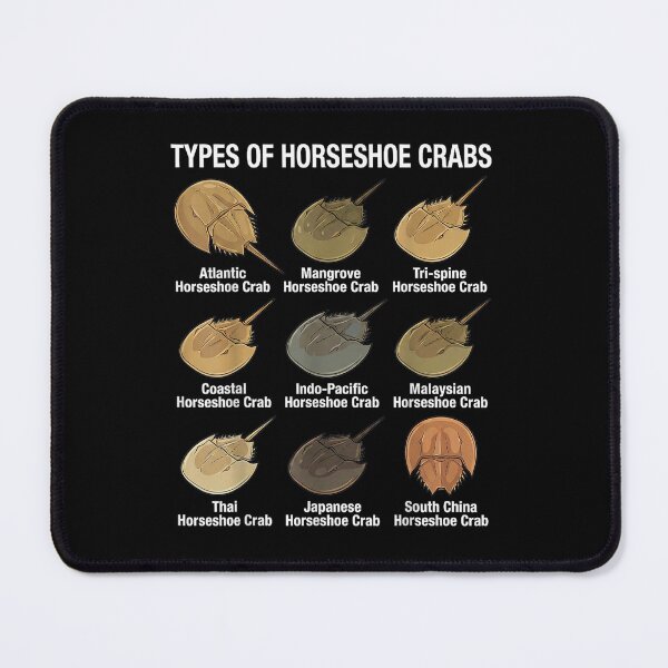 Item preview, Horseshoe Crab Types designed and sold by goombi-creative.