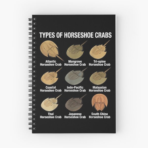 Item preview, Horseshoe Crab Types designed and sold by goombi-creative.
