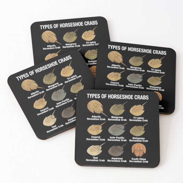 Item preview, Horseshoe Crab Types designed and sold by goombi-creative.