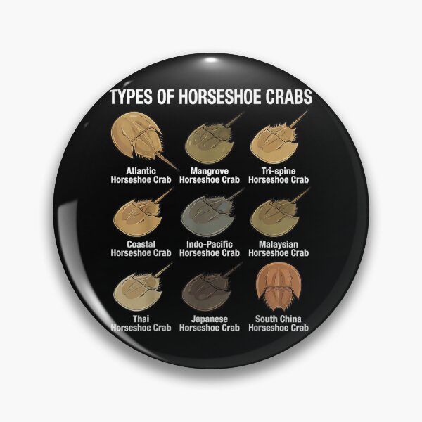 Item preview, Horseshoe Crab Types designed and sold by goombi-creative.