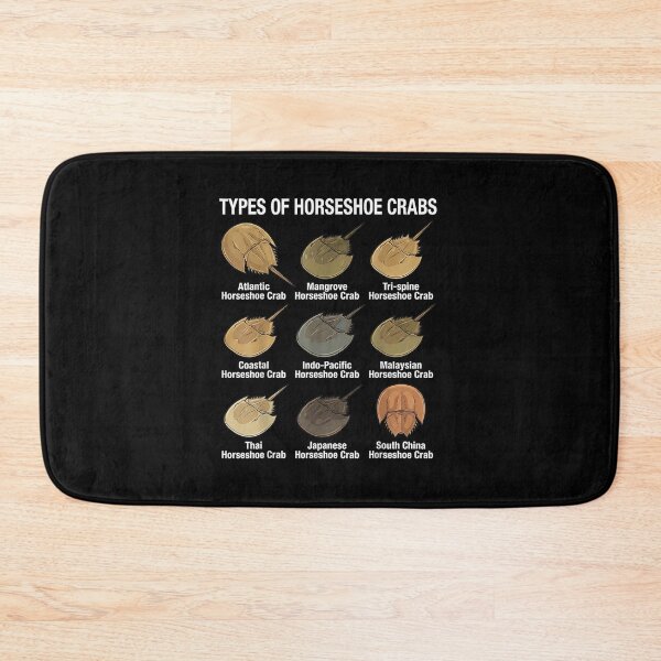 Item preview, Horseshoe Crab Types designed and sold by goombi-creative.