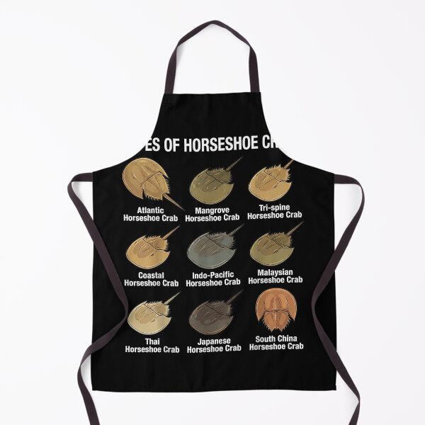 Item preview, Horseshoe Crab Types designed and sold by goombi-creative.