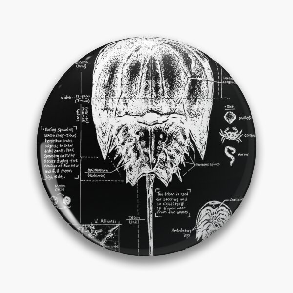 Item preview, Horseshoe Crab Biology designed and sold by goombi-creative.