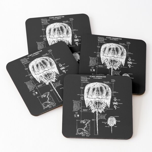 Item preview, Horseshoe Crab Biology designed and sold by goombi-creative.