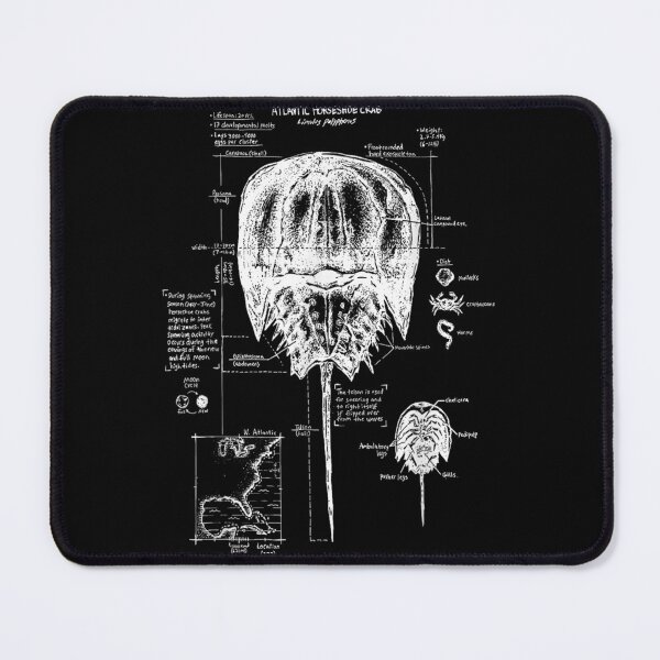 Item preview, Horseshoe Crab Biology designed and sold by goombi-creative.
