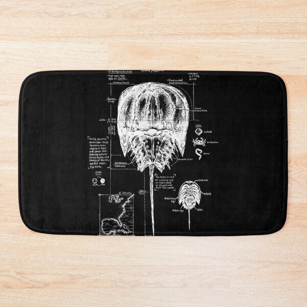 Item preview, Horseshoe Crab Biology designed and sold by goombi-creative.
