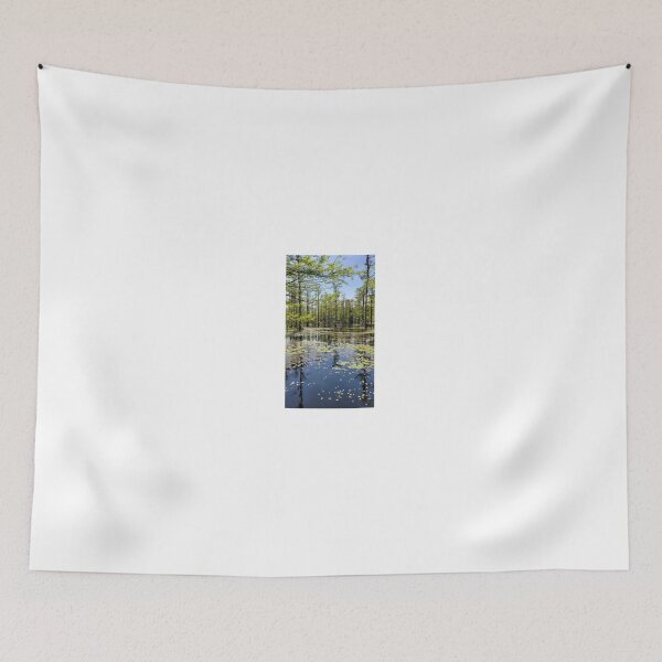 Item preview, Cypress Swamp with Lily Pads and Reflections designed and sold by TDLimited.