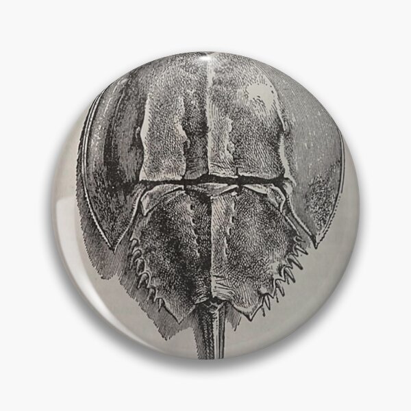 Item preview, Horseshoe Crab Funny designed and sold by goombi-creative.