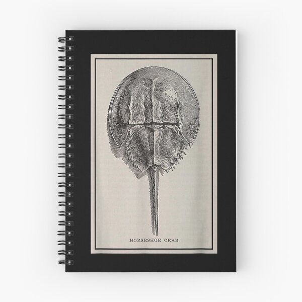 Item preview, Horseshoe Crab Funny designed and sold by goombi-creative.