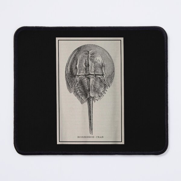 Item preview, Horseshoe Crab Funny designed and sold by goombi-creative.