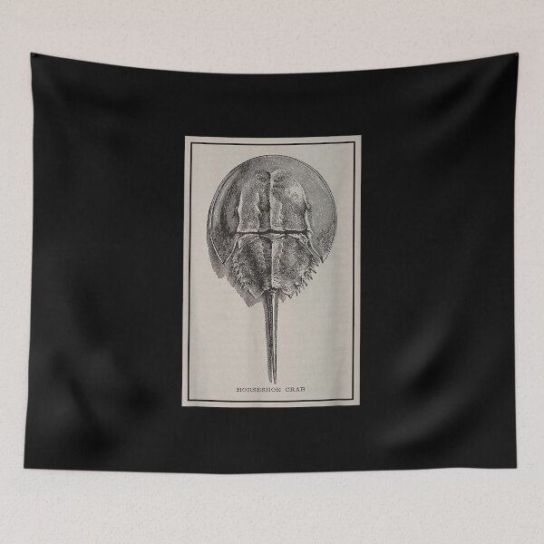 Item preview, Horseshoe Crab Funny designed and sold by goombi-creative.