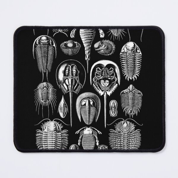 Item preview, Horseshoe Crab Animal designed and sold by goombi-creative.
