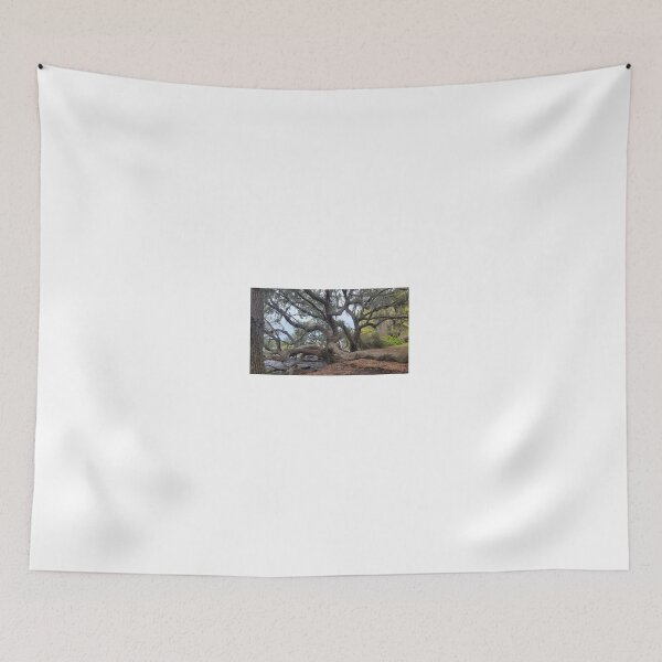 Item preview, Ancient Live Oak Covered in Spanish Moss designed and sold by TDLimited.