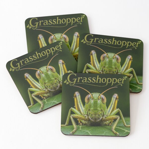 Item preview, Grasshopper! designed and sold by Artnovalty.redbubble.com.