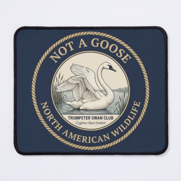 Item preview, Not A Goose Trumpeter Swan Humor Badge designed and sold by CalmCapy Co.