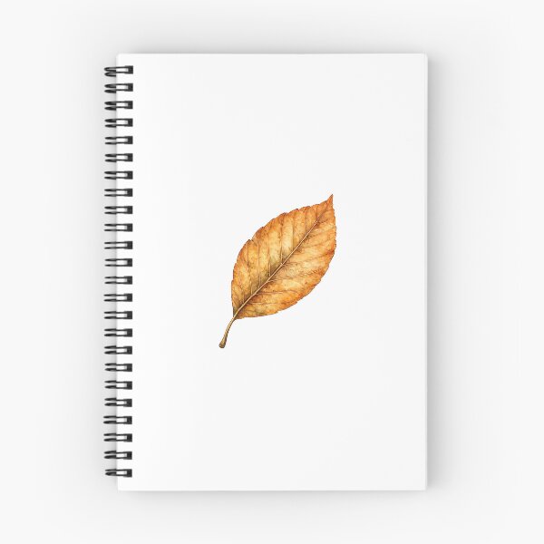 Item preview, Autumn Beech Leaf Clipart | Watercolor Botanical Leaf | Autumn Botanical Art designed and sold by Nolmo.