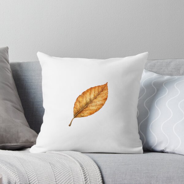 Item preview, Autumn Beech Leaf Clipart | Watercolor Botanical Leaf | Autumn Botanical Art designed and sold by IamNolmo.