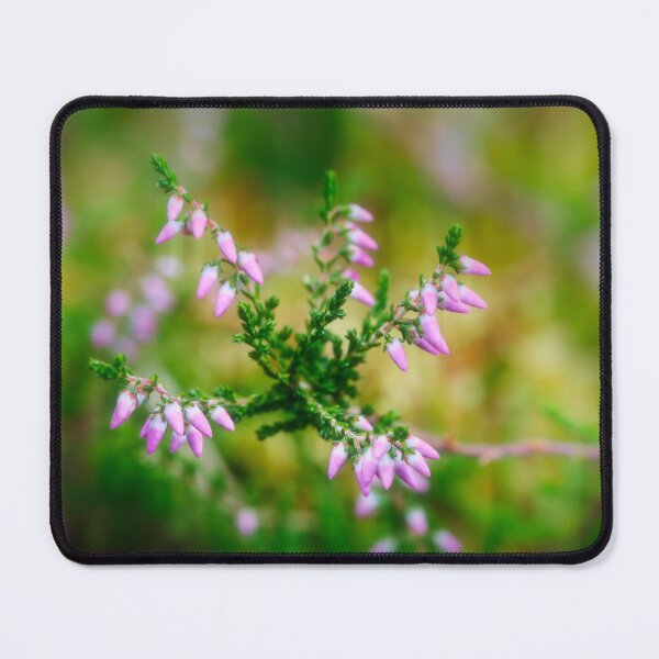 Item preview, Delicate Pink Heather Blossoms designed and sold by Veikko Suikkanen.