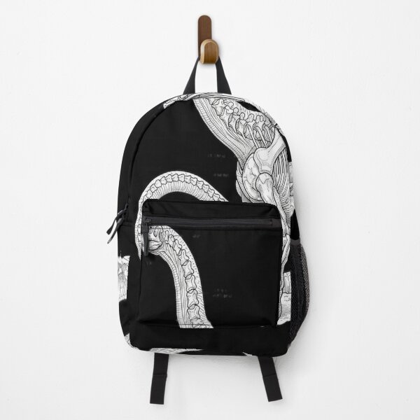 Item preview, Brontosaurus designed and sold by ChiqueAvenue.