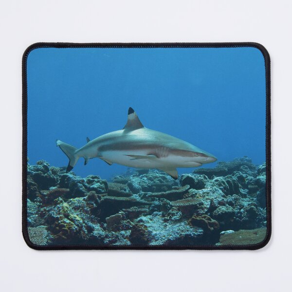 Item preview, Blacktip Reef Shark at Vertigo * Pacific Ocean Photo | designed and sold by Photo & Design Ute Niemann.