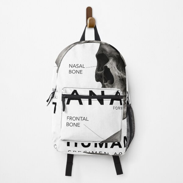 Item preview, ANATOMY | Human Skull Scientific Illustration Graphic designed and sold by CreativeCook.