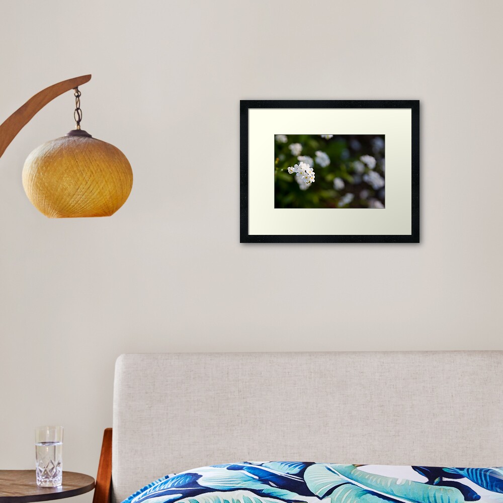 White forget-me-not Framed Art Print