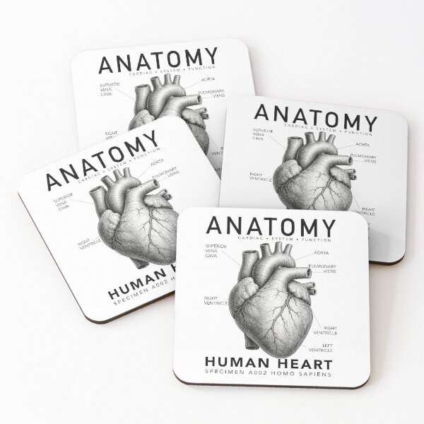 Item preview, ANATOMY | Human Heart Scientific Illustration Graphic designed and sold by CreativeCook.