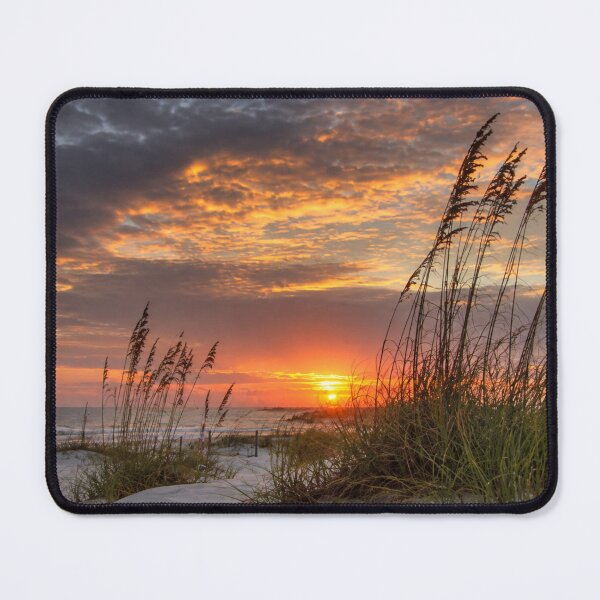 Item preview, Golden Coastal Sunset with Sea Oats and Dramatic Evening Sky designed and sold by Wild Bloom Paws.