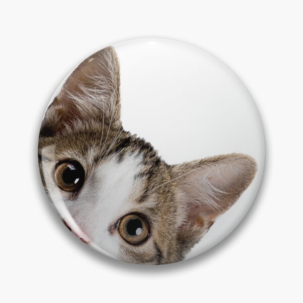 Item preview, sneaky cat Sticker designed and sold by ghatwalsachin.