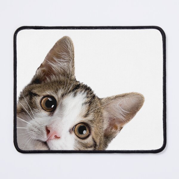 Item preview, sneaky cat Sticker designed and sold by ghatwalsachin.