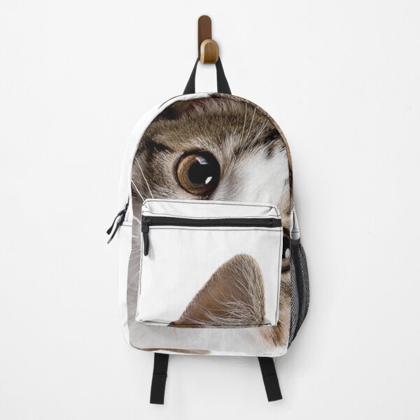 Item preview, sneaky cat Sticker designed and sold by ghatwalsachin.